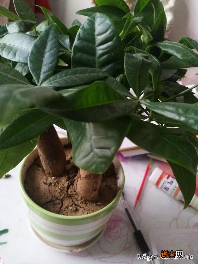 有人说“人,应想办法努力挣钱,而不是如何省钱”你怎么看？