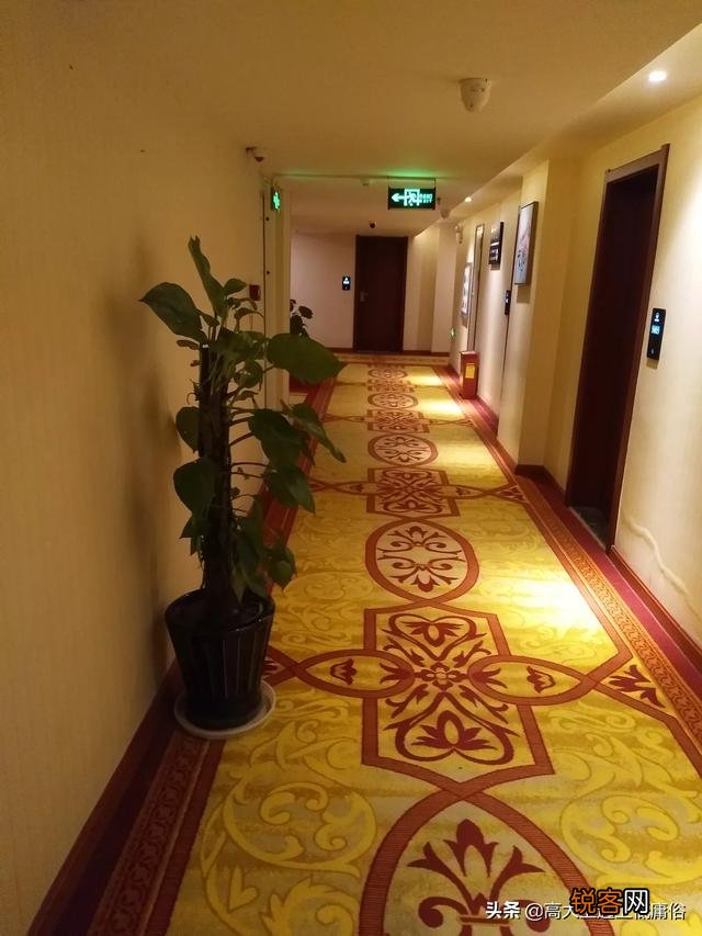 有人说“人,应想办法努力挣钱,而不是如何省钱”你怎么看？