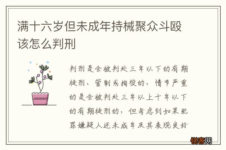 满十六岁但未成年持械聚众斗殴该怎么判刑