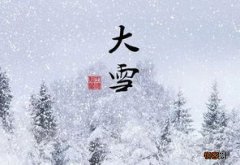 雪柳如何水养