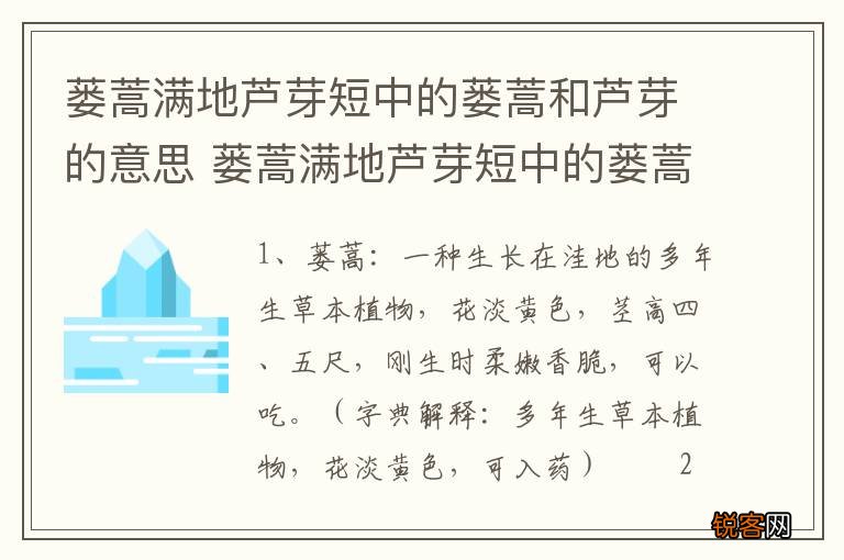 蒌蒿满地芦芽短中的蒌蒿和芦芽的意思 蒌蒿满地芦芽短中的蒌蒿和芦芽的解释