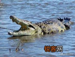 春秋战国时代第一个称王的是谁,能否详细说说当时的情形？