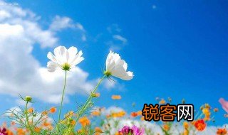 描写微风的优美句子 描写微风的优美句子有哪些