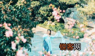 篱落疏疏一径深树头新绿未成荫的景物特点是什么 篱落疏疏一径深的景物特点描写