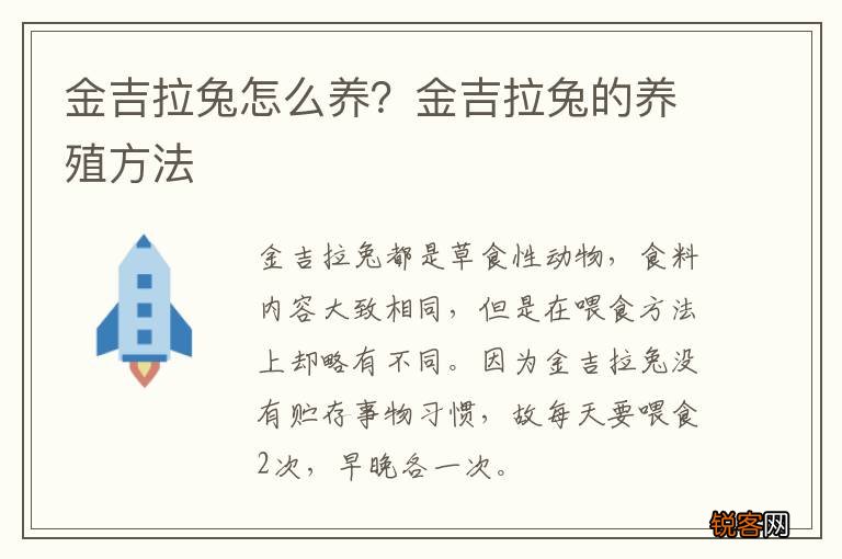 金吉拉兔怎么养？金吉拉兔的养殖方法
