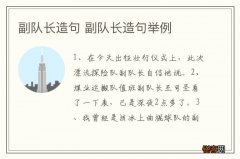 副队长造句 副队长造句举例
