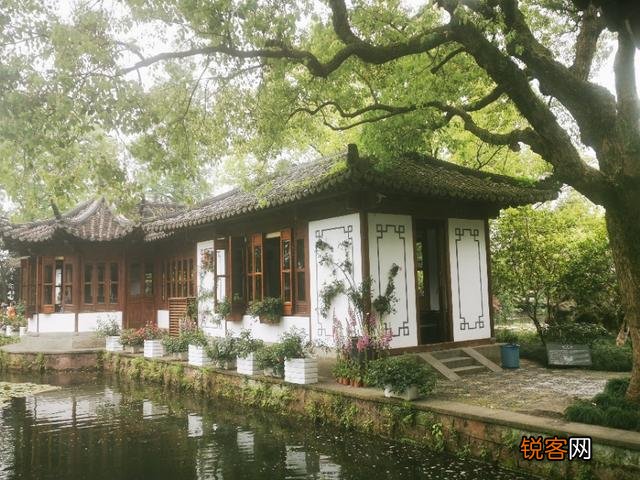 “ 闲花开石竹,幽叶吐蔷薇”的古诗意境如何拍摄？