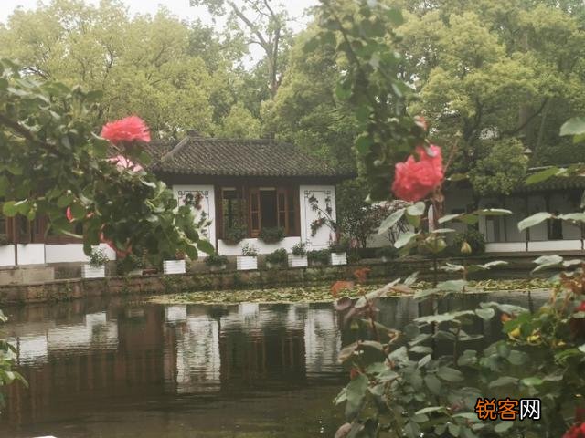 “ 闲花开石竹,幽叶吐蔷薇”的古诗意境如何拍摄？