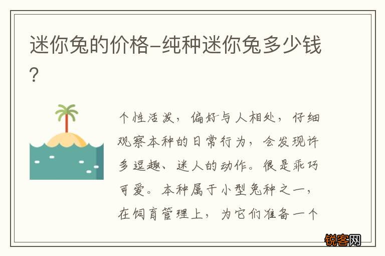 迷你兔的价格-纯种迷你兔多少钱？