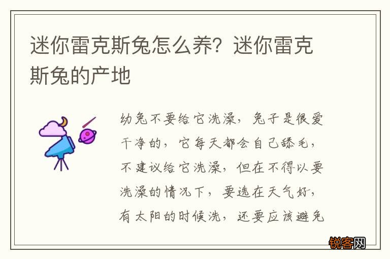 迷你雷克斯兔怎么养？迷你雷克斯兔的产地