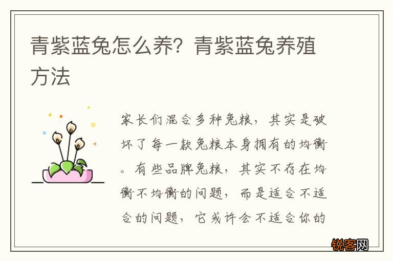 青紫蓝兔怎么养？青紫蓝兔养殖方法