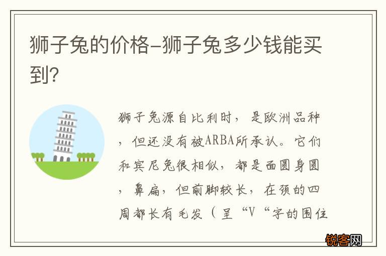 狮子兔的价格-狮子兔多少钱能买到？
