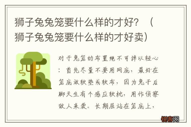 狮子兔兔笼要什么样的才好卖 狮子兔兔笼要什么样的才好?