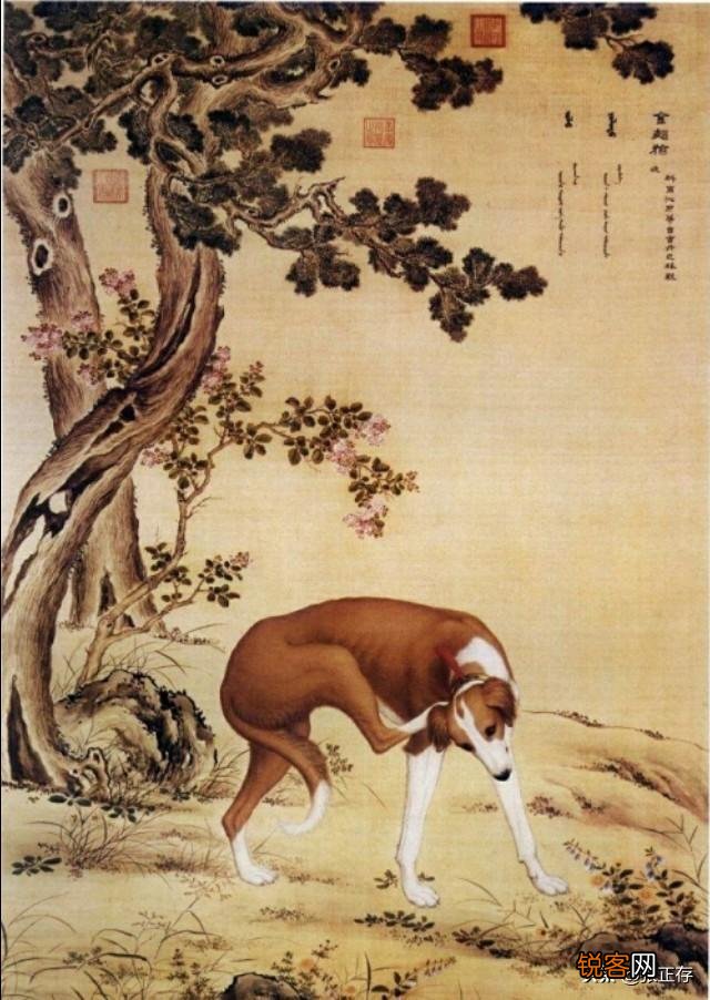 为什么说书法好画却不一定画的好?画画的好字的个性不会太差?