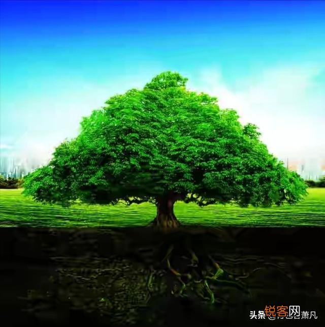 你见过最搞笑的图片是什么？