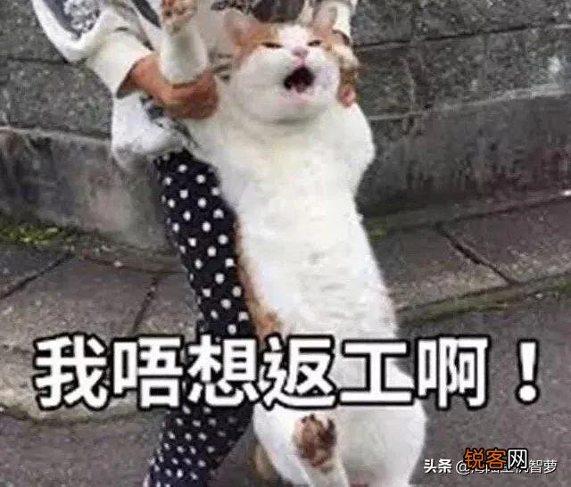 你们都收藏了哪些有意思的表情包和gif？