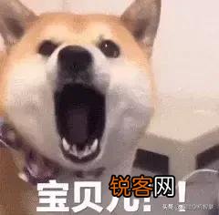 你们都收藏了哪些有意思的表情包和gif？