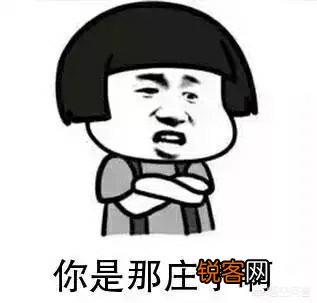 你在微信聊天时,有哪些最喜欢用的沙雕表情包？