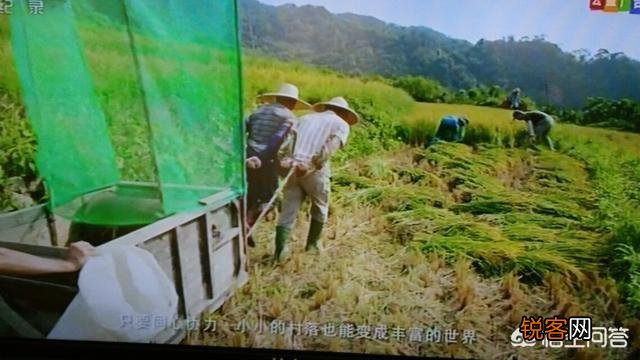 俗话说,男人三十而立。具体是立什么？