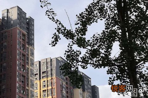批捕不起诉国家赔偿的规定是什么?