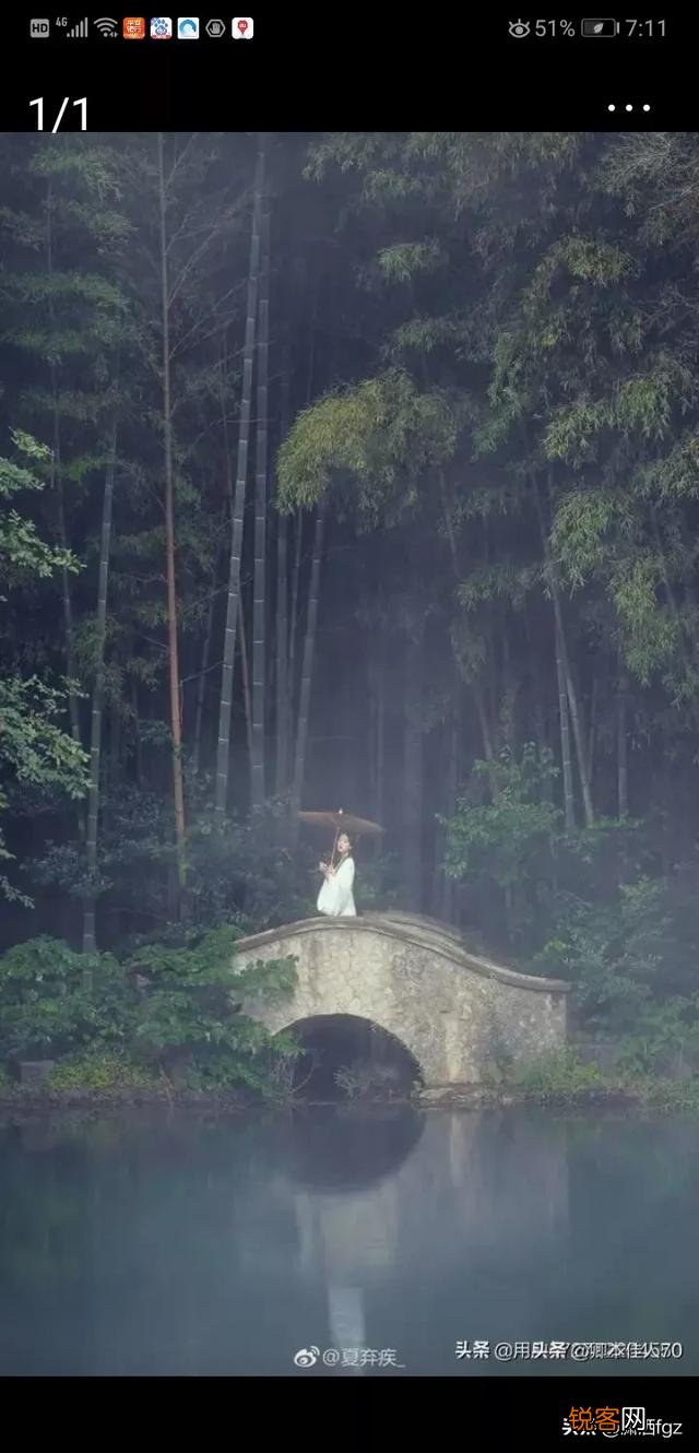 各位老师们:能为此图题一首诗吗?