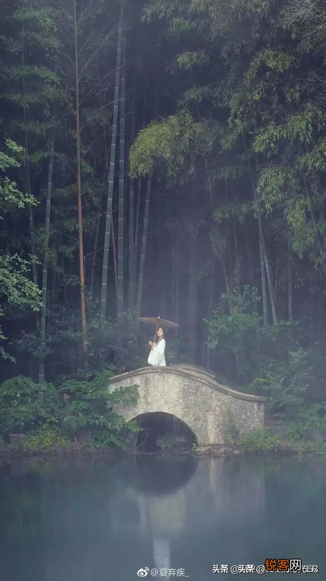 各位老师们:能为此图题一首诗吗?
