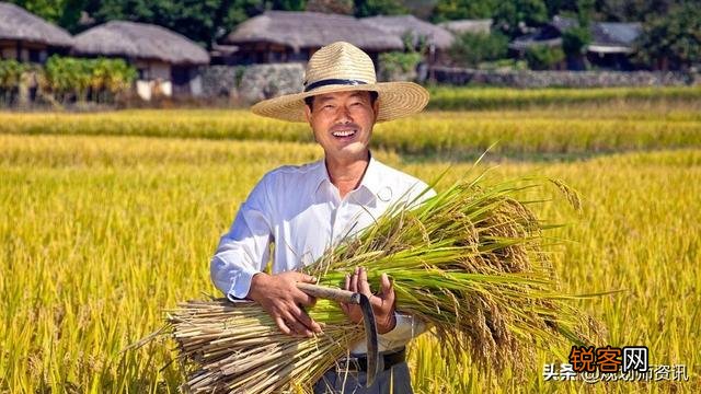 中国农民有多少？