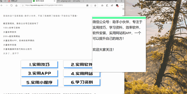 电脑上有哪些免费好用的翻译软件?