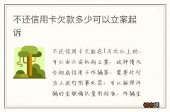 不还信用卡欠款多少可以立案起诉