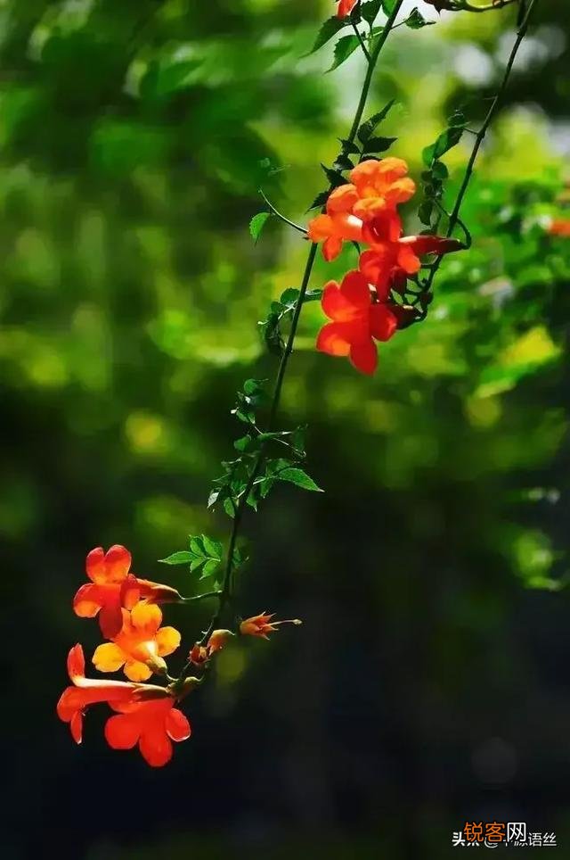 被人中伤后,如何调节情绪？