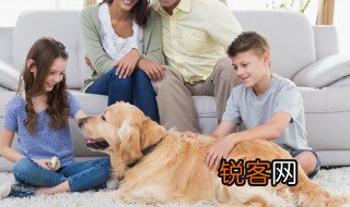 家长对孩子的激励语 关于家长对孩子的激励语