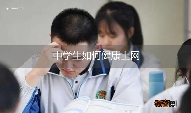 中学生如何健康上网