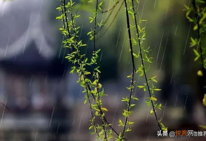 2021年上半年雨水多不多