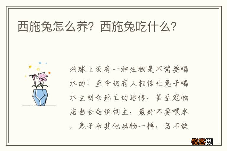 西施兔怎么养?西施兔吃什么?