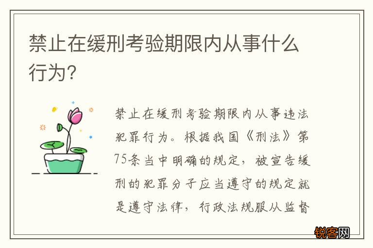禁止在缓刑考验期限内从事什么行为?