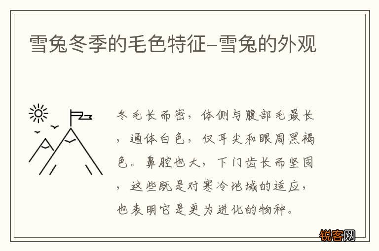 雪兔冬季的毛色特征-雪兔的外观