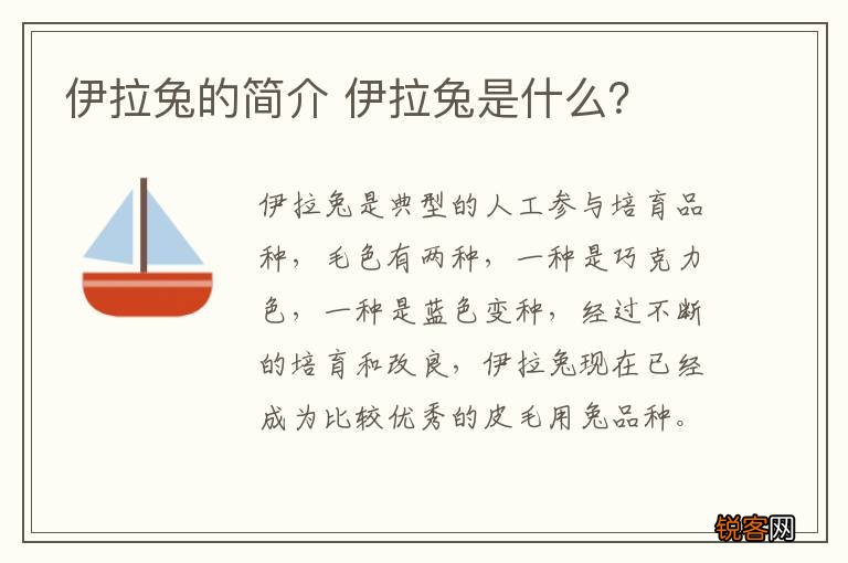 伊拉兔的简介 伊拉兔是什么？