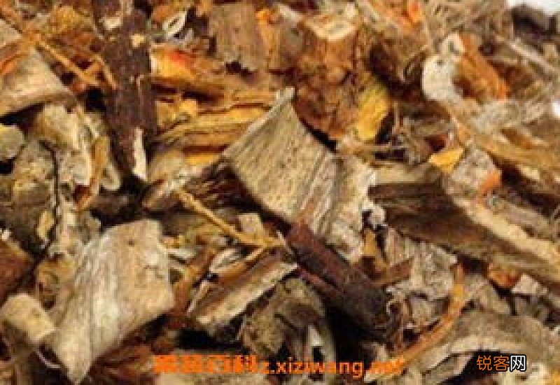 老桑树根的功效与作用