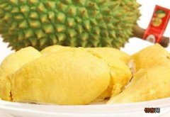 榴莲好吃吗 榴莲是什么味道