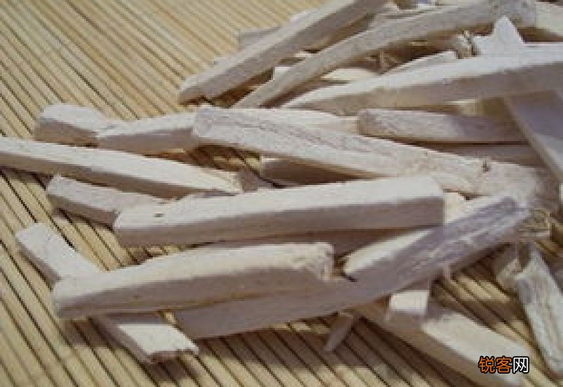 葛根泡水不适合什么人