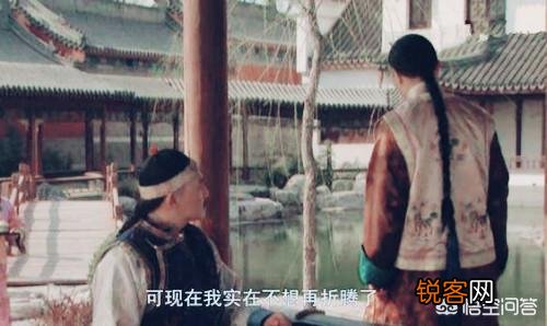 《雍正王朝》胤禩逼宫前到景陵鼓动胤禵,胤禵一句“我不会不管”有什么深意?