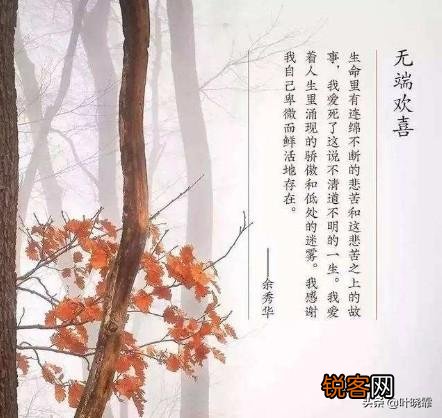 你如何看待余秀华的诗和为人呢？