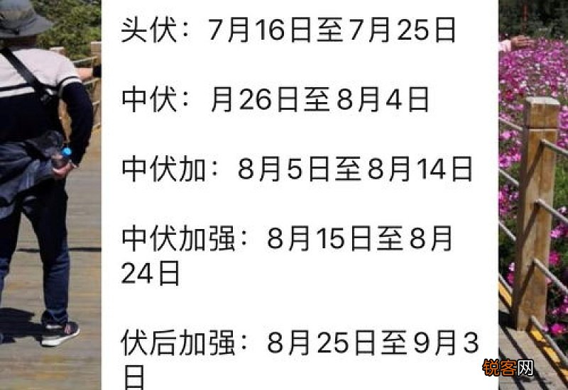 2020年什么时候贴三伏贴
