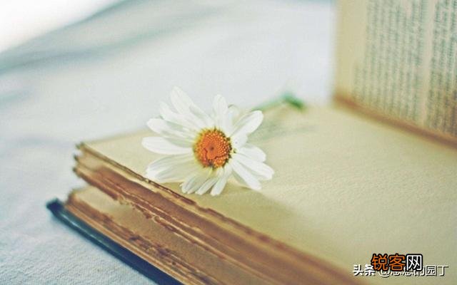 现代诗是否还需要押韵?
