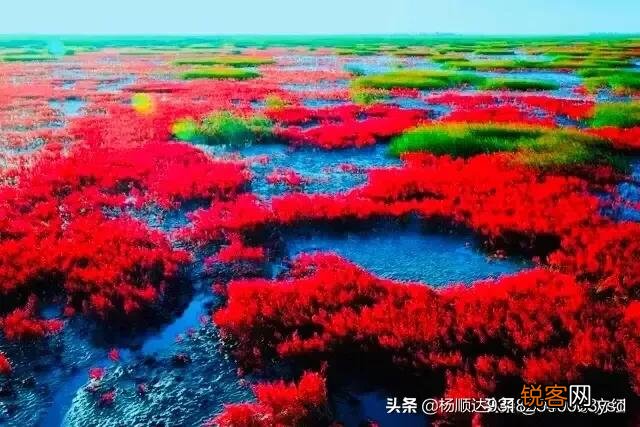 现代诗是否还需要押韵?