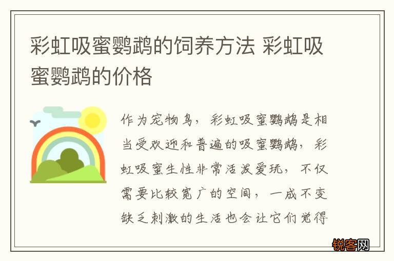 彩虹吸蜜鹦鹉的饲养方法 彩虹吸蜜鹦鹉的价格