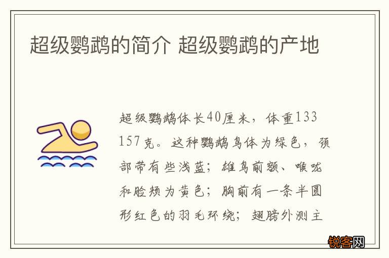 超级鹦鹉的简介 超级鹦鹉的产地