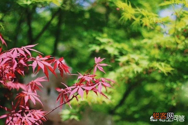 人生感悟个性签名经典句子有什么？