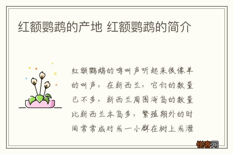 红额鹦鹉的产地 红额鹦鹉的简介