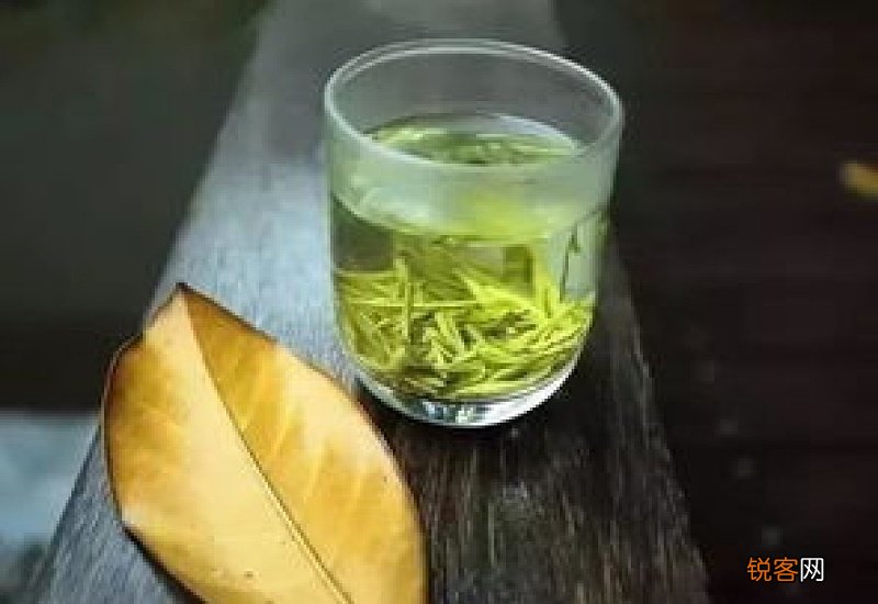 湿气重能喝胎菊茶吗